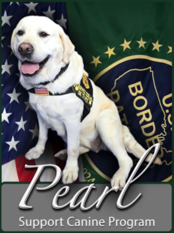 Pearl, Canine Support Dog